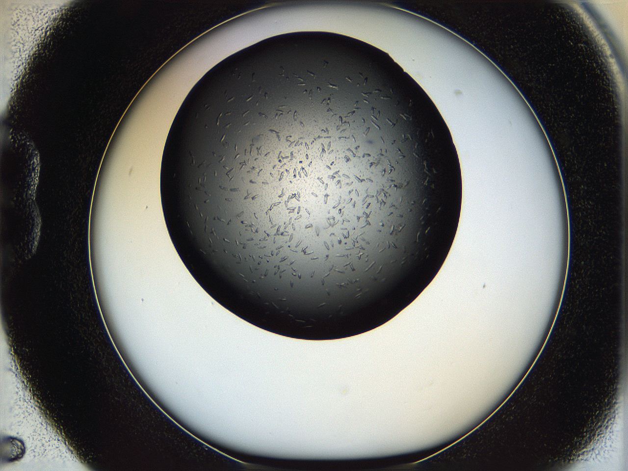 05nj_B5_ImagerDefaults_7.jpg