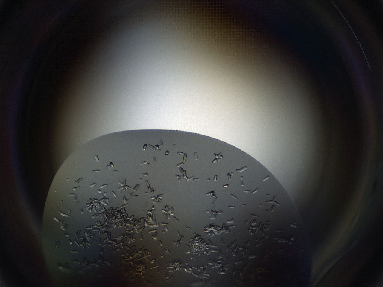 05od_A6_ImagerDefaults_9.jpg