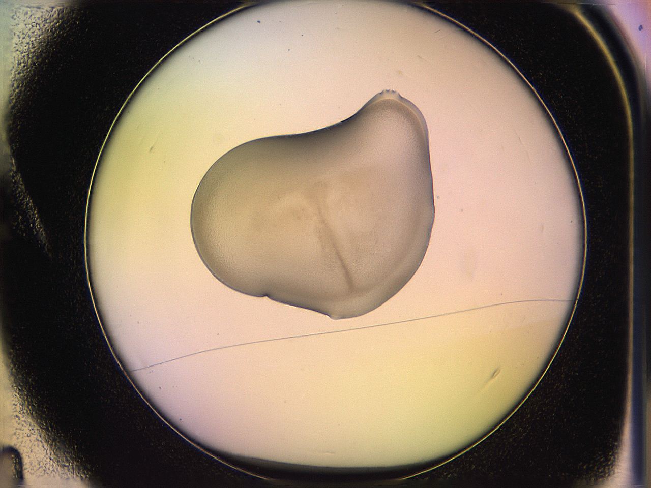 05oe_A4_ImagerDefaults_3.jpg