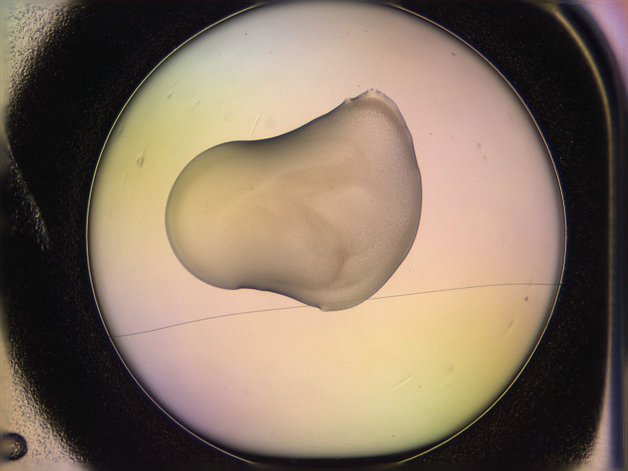 05oe_A5_ImagerDefaults_3.jpg