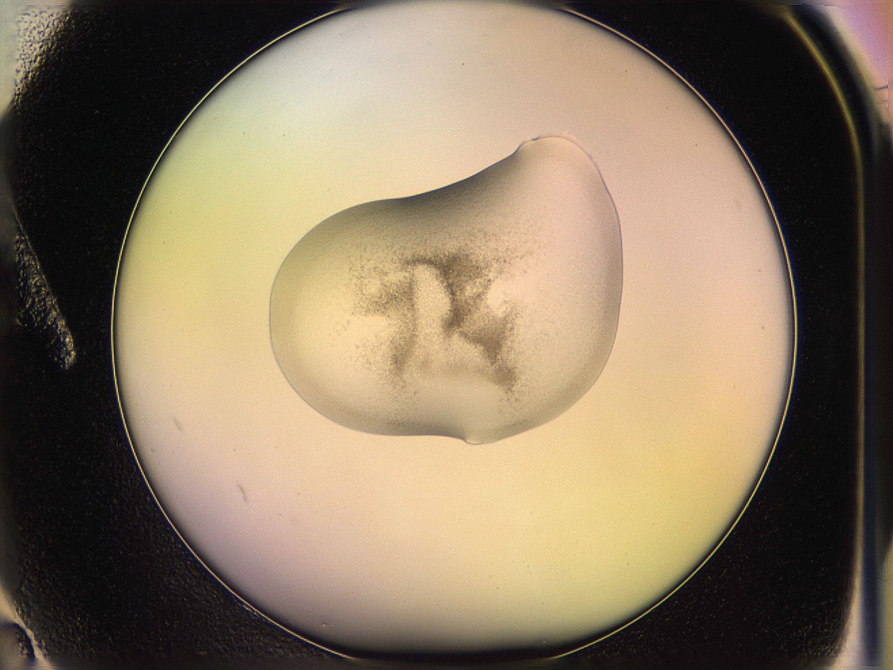 05oe_A2_ImagerDefaults_3.jpg