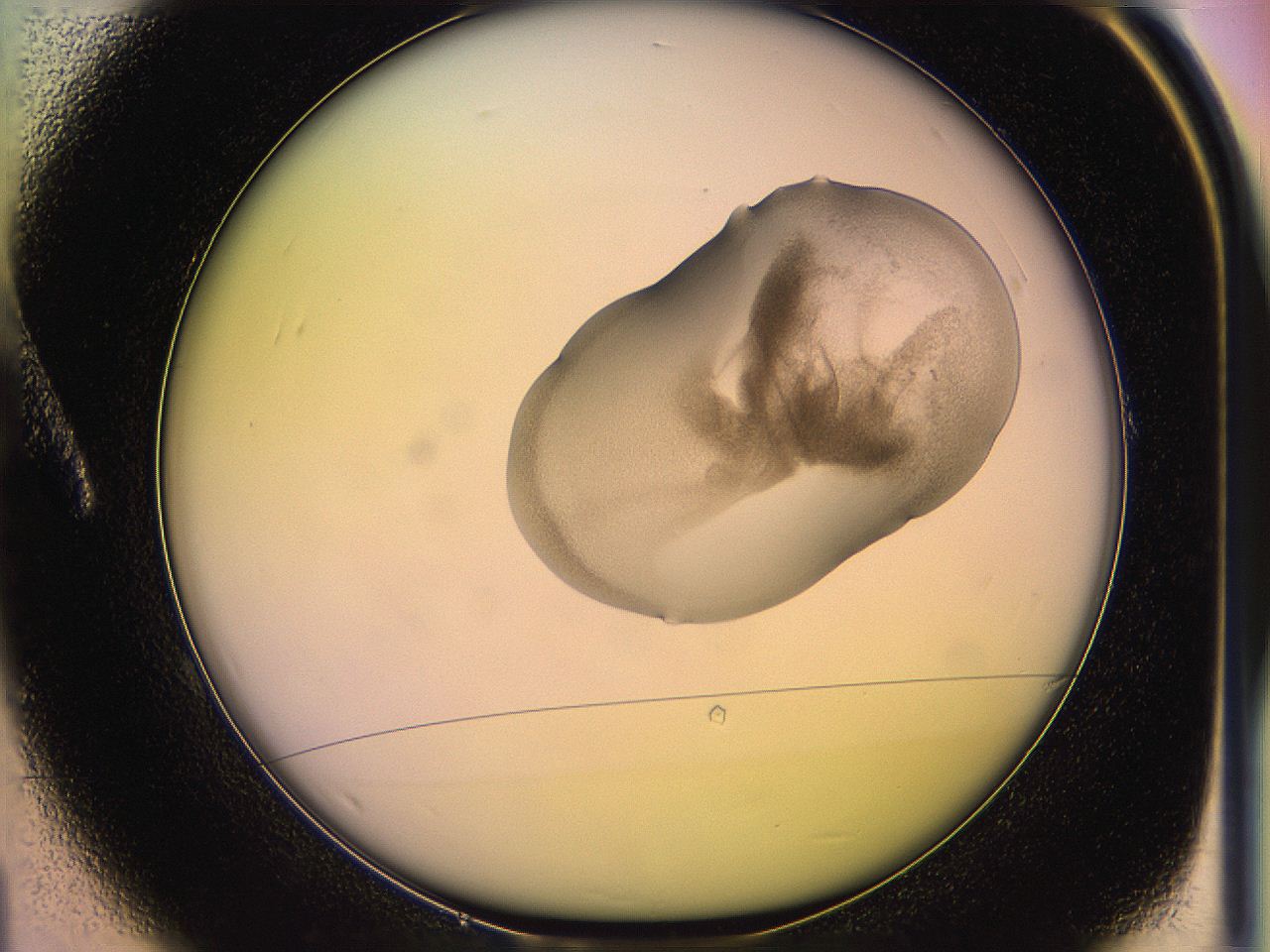 05oe_A1_ImagerDefaults_3.jpg