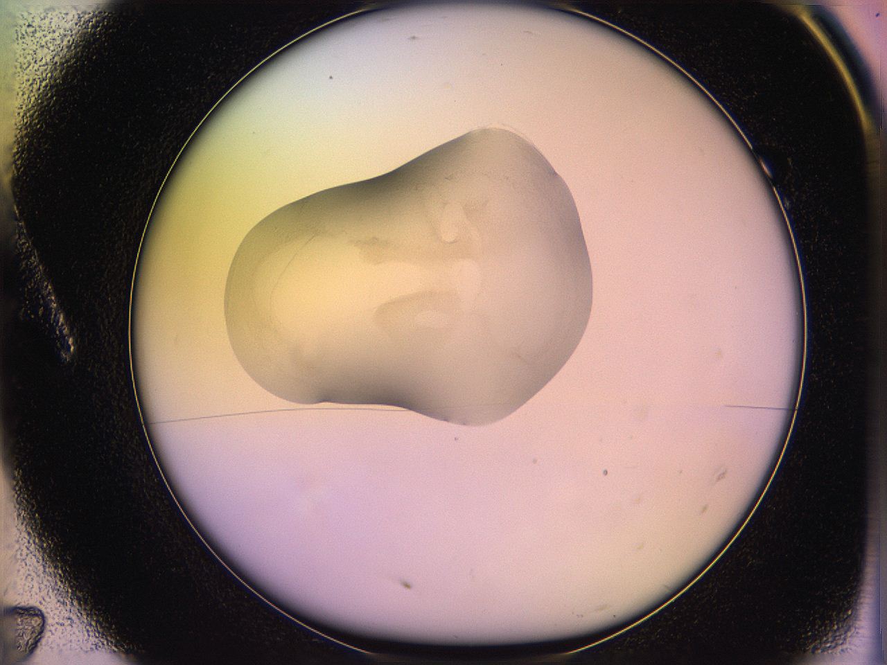 05oe_A7_ImagerDefaults_3.jpg