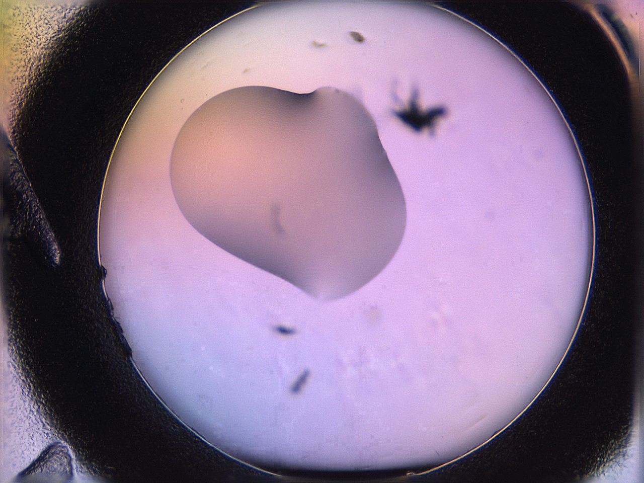 05oe_A11_ImagerDefaults_1.jpg