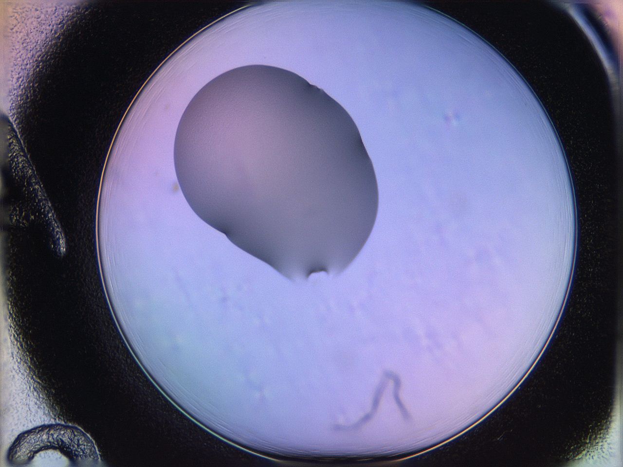 05oe_A12_ImagerDefaults_1.jpg