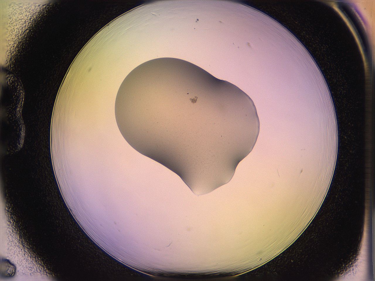 05oe_B6_ImagerDefaults_1.jpg