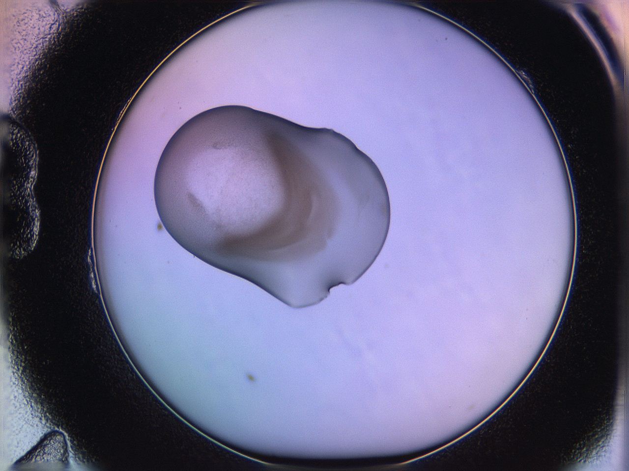 05oe_B11_ImagerDefaults_3.jpg
