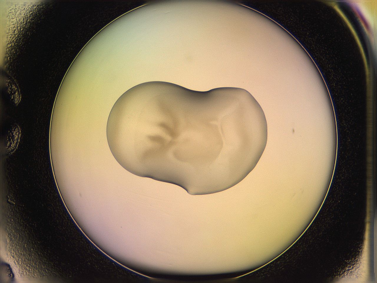 05oe_C3_ImagerDefaults_3.jpg