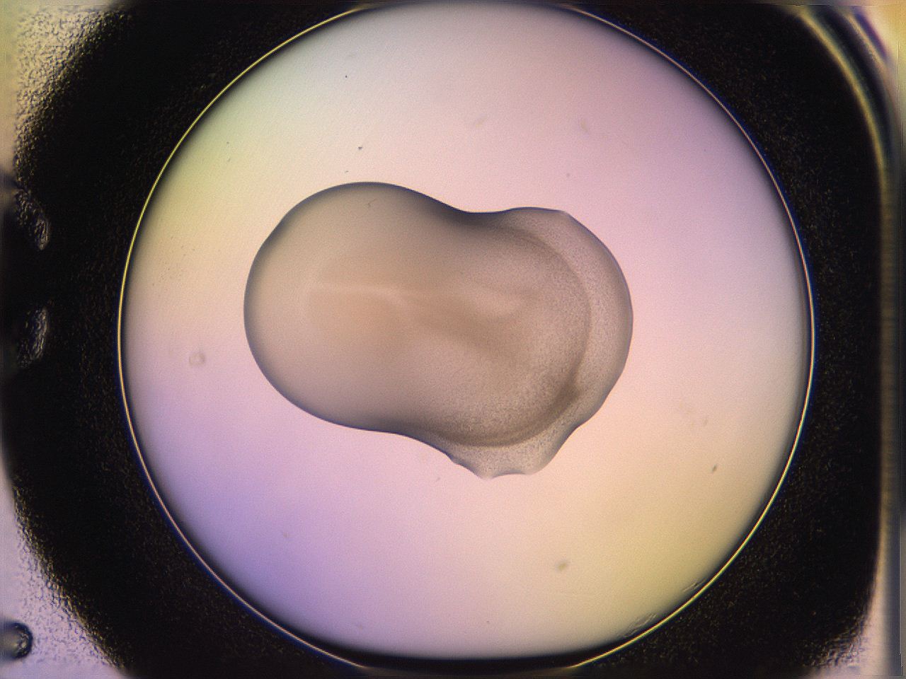 05oe_C5_ImagerDefaults_3.jpg