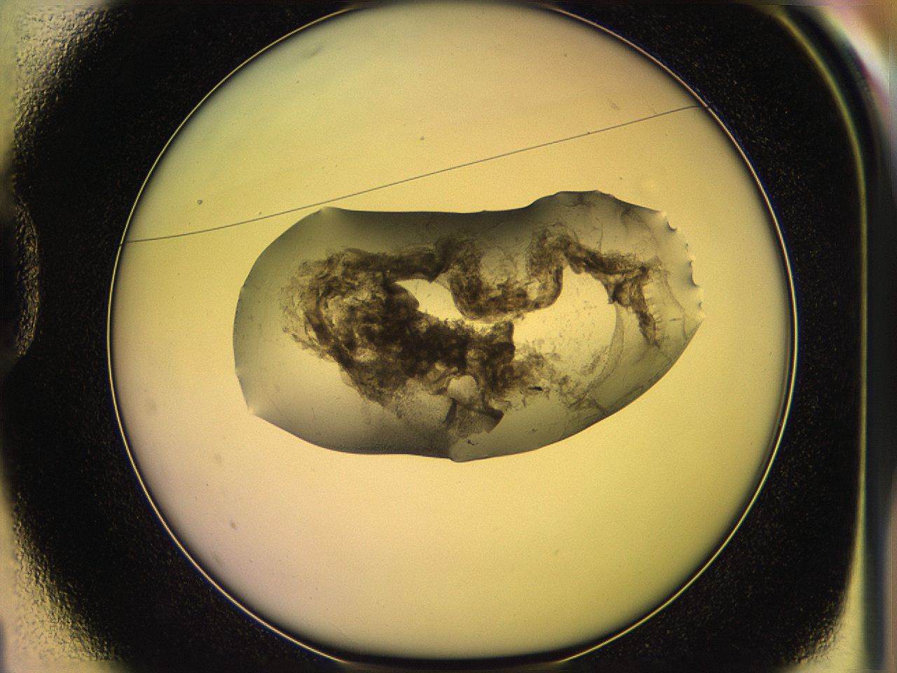 05oe_D1_ImagerDefaults_3.jpg