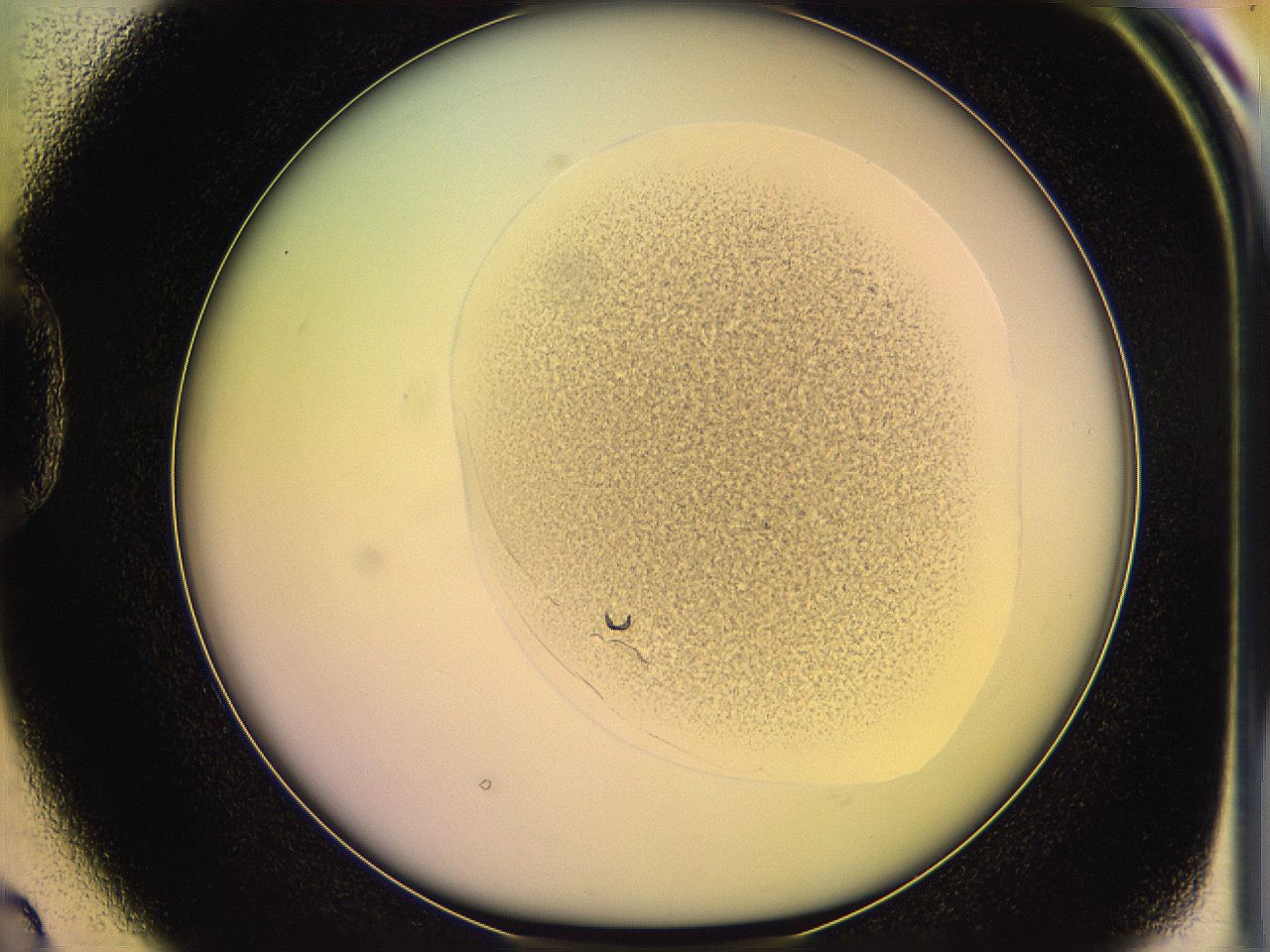 05oe_D2_ImagerDefaults_3.jpg