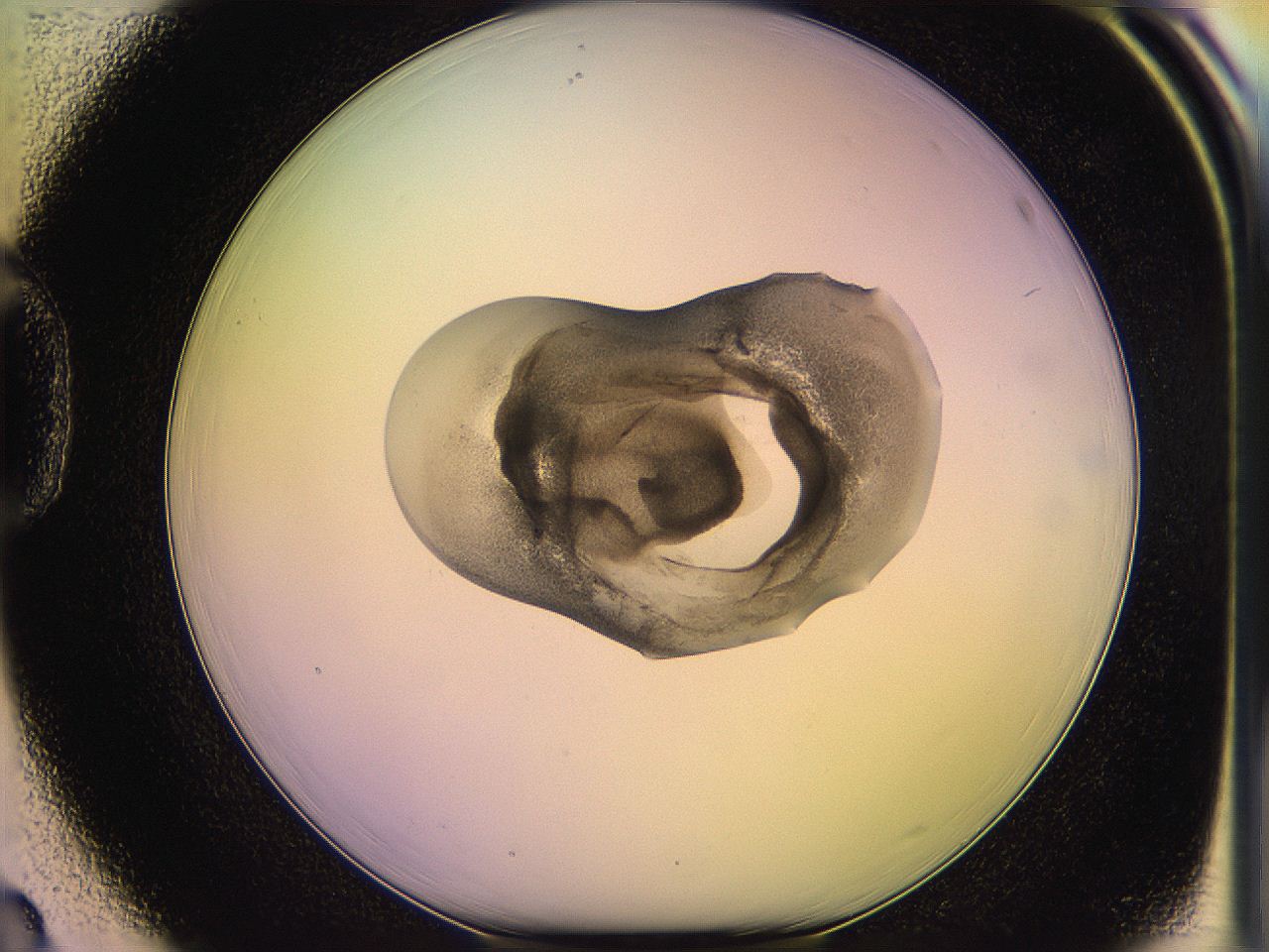 05oe_D3_ImagerDefaults_3.jpg