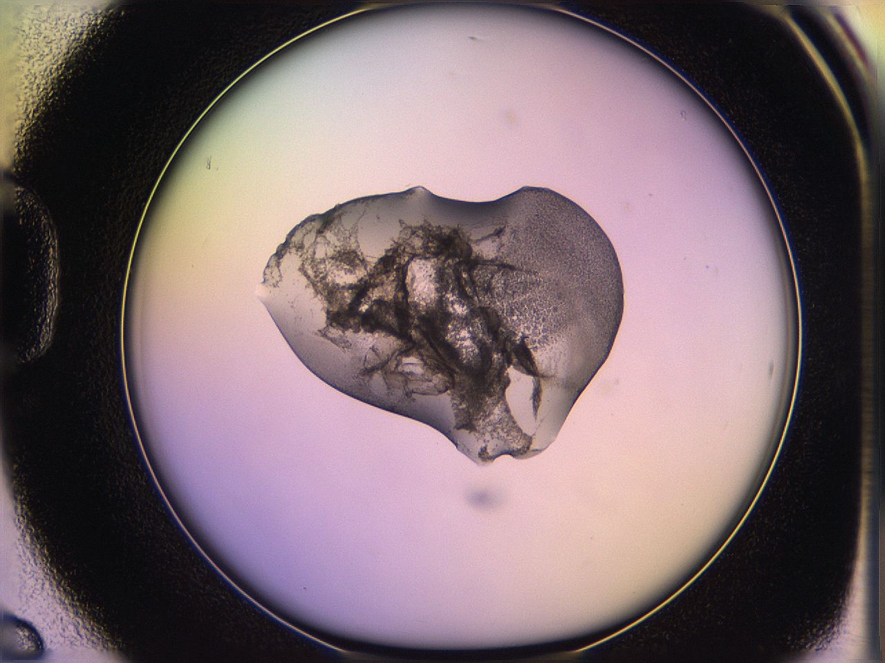 05oe_D6_ImagerDefaults_3.jpg