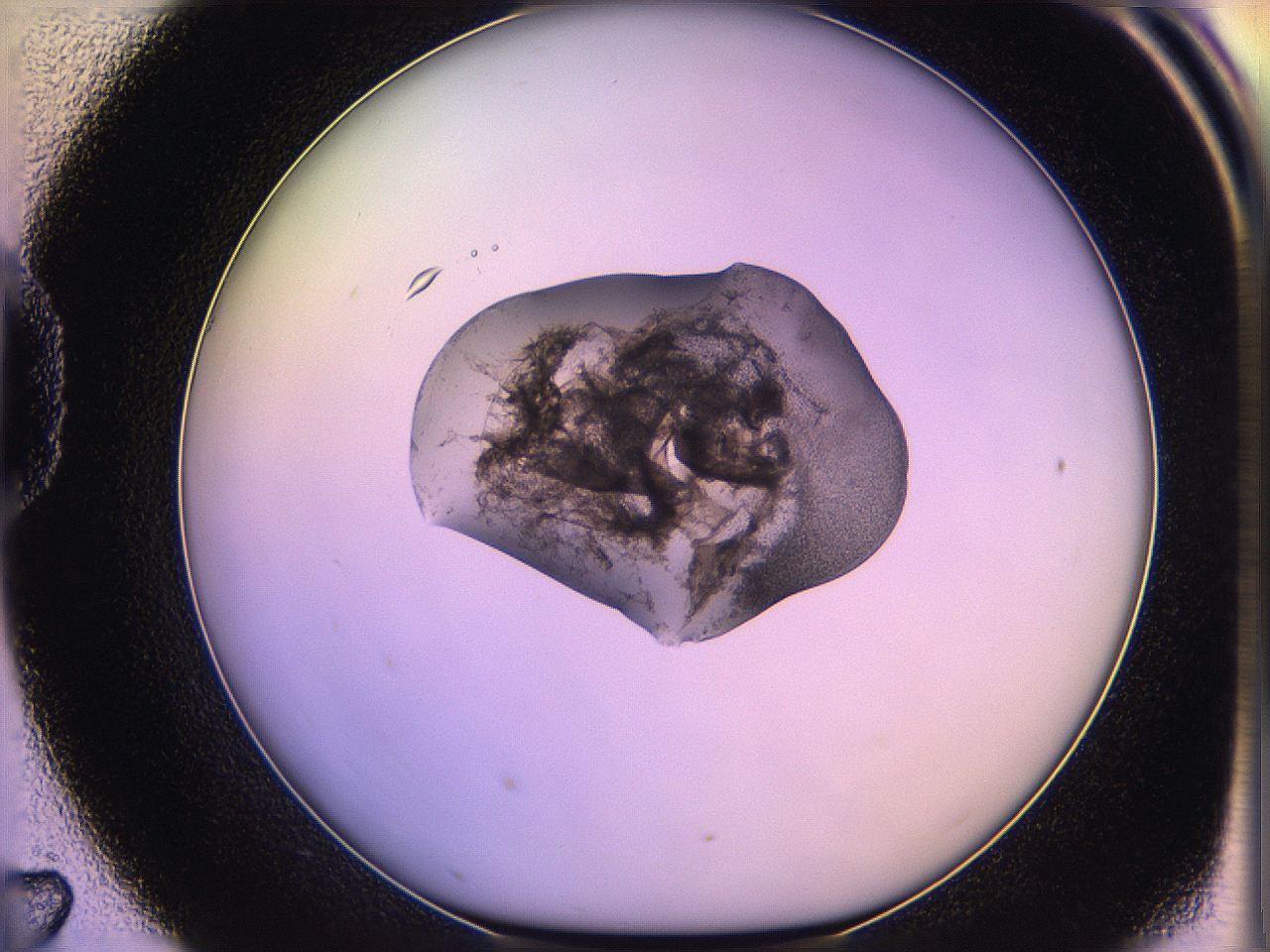 05oe_D7_ImagerDefaults_3.jpg