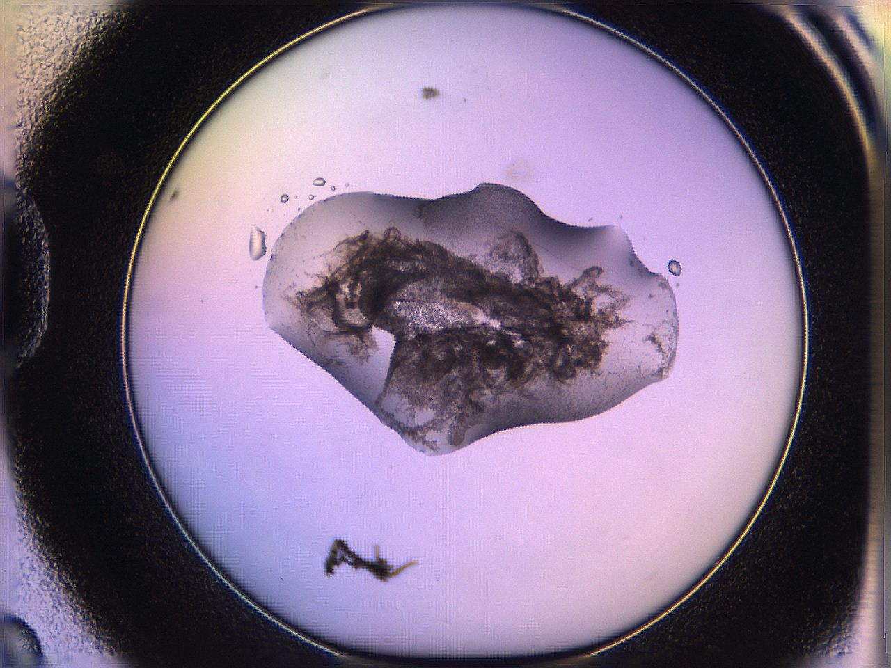 05oe_D8_ImagerDefaults_3.jpg