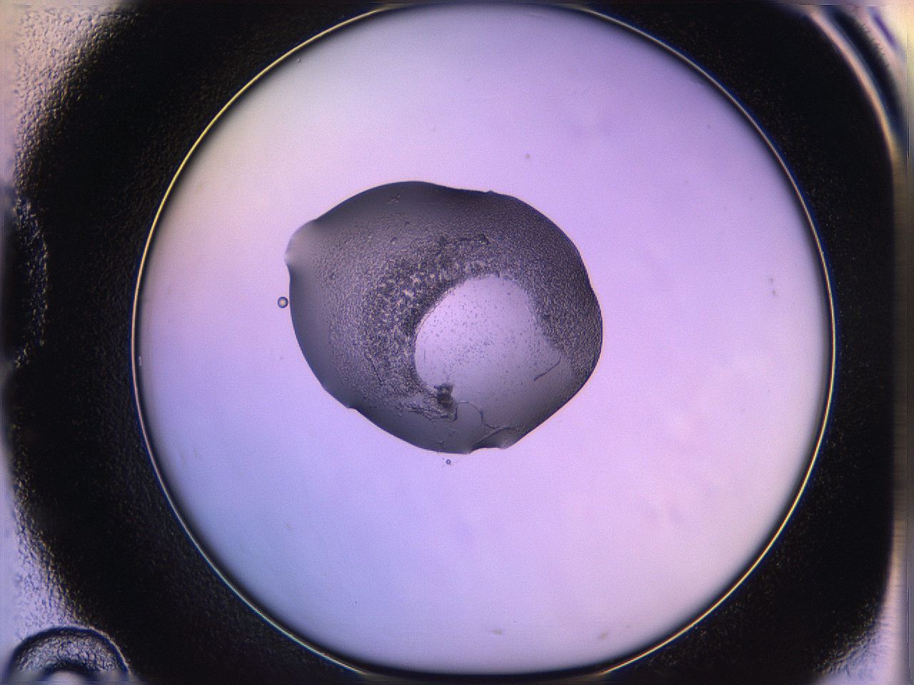 05oe_D10_ImagerDefaults_2.jpg