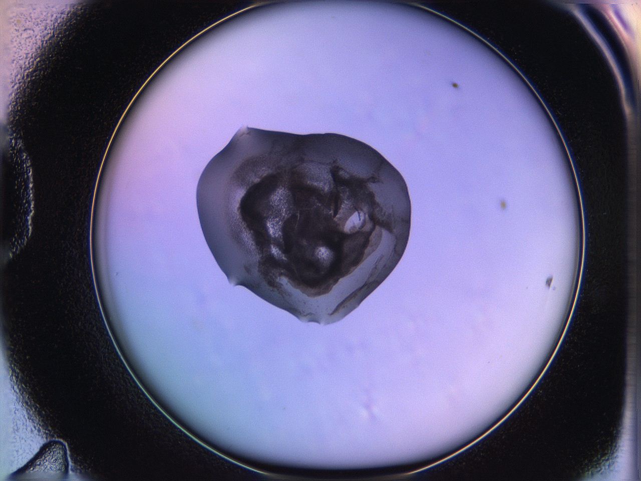 05oe_D11_ImagerDefaults_3.jpg