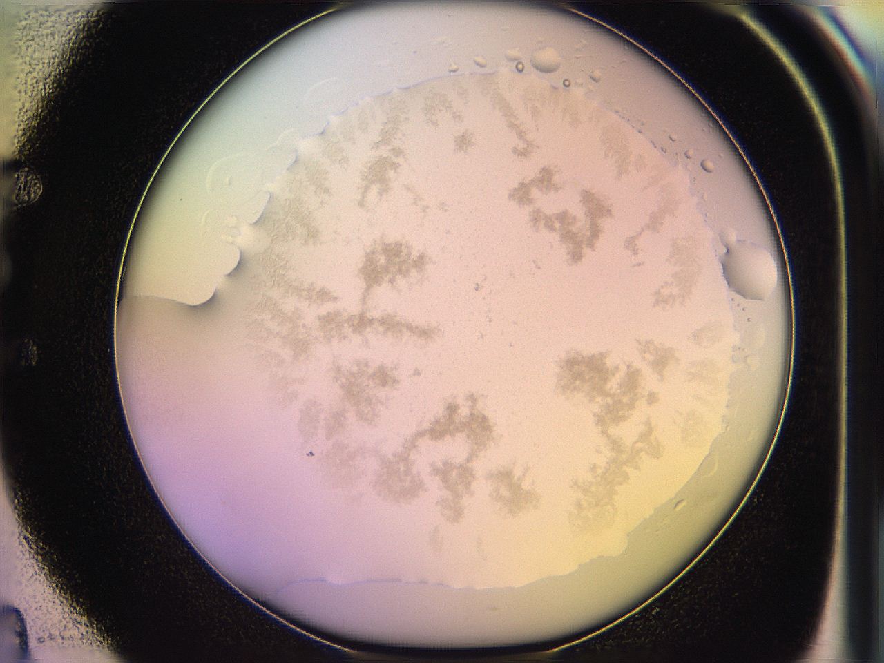 05oe_E4_ImagerDefaults_3.jpg