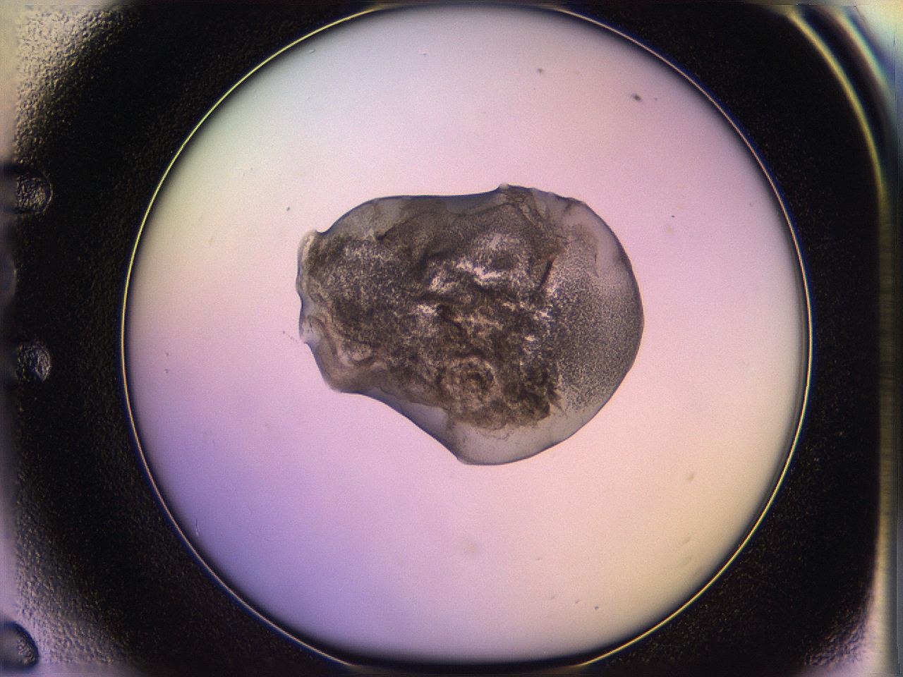 05oe_E6_ImagerDefaults_3.jpg