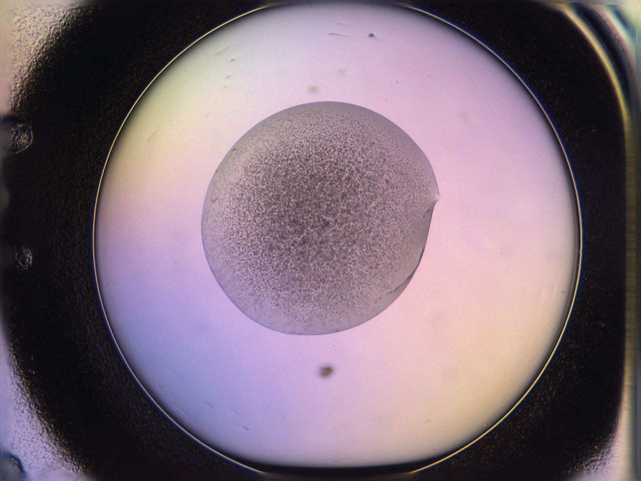 05oe_E8_ImagerDefaults_3.jpg