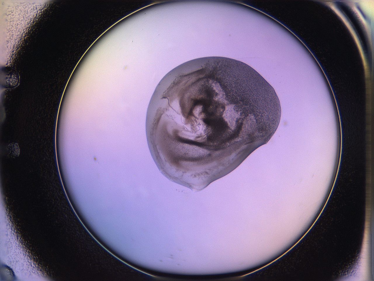 05oe_E9_ImagerDefaults_3.jpg
