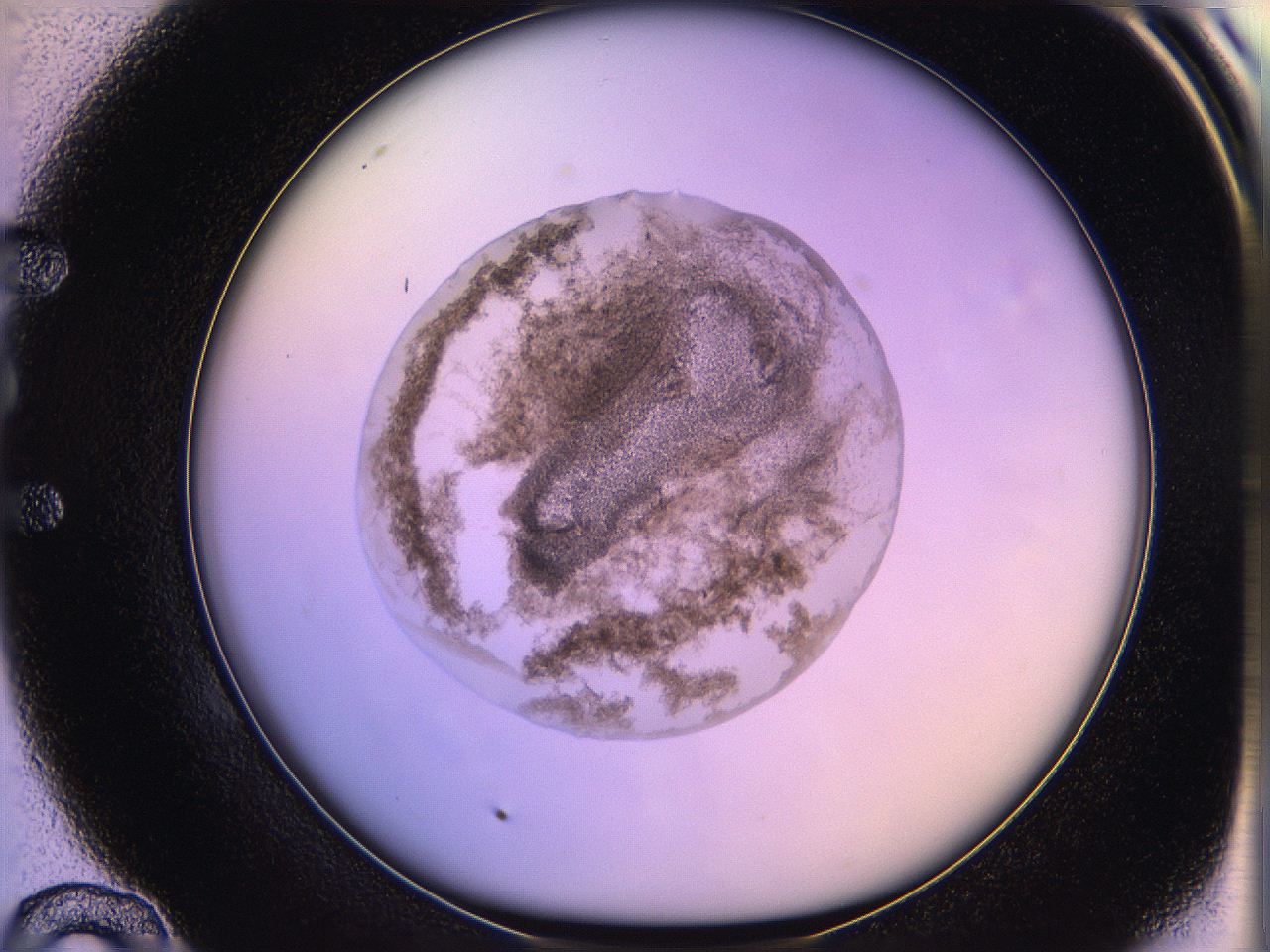 05oe_E10_ImagerDefaults_3.jpg