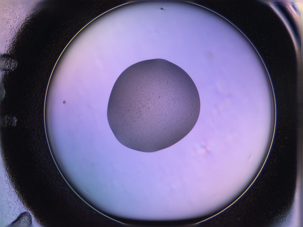 05oe_E11_ImagerDefaults_3.jpg