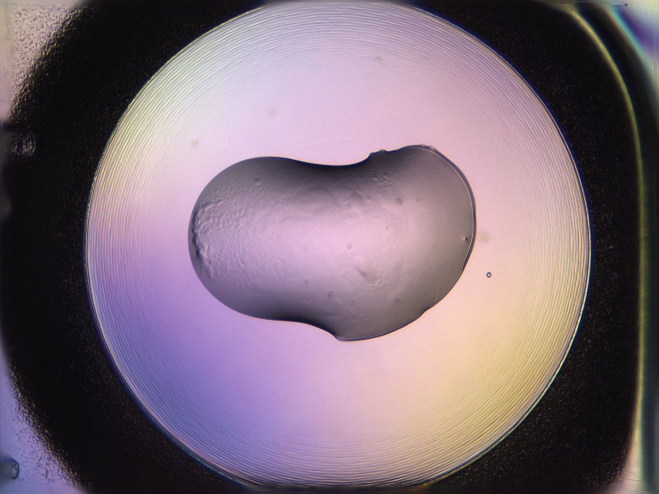 05oe_F5_ImagerDefaults_2.jpg