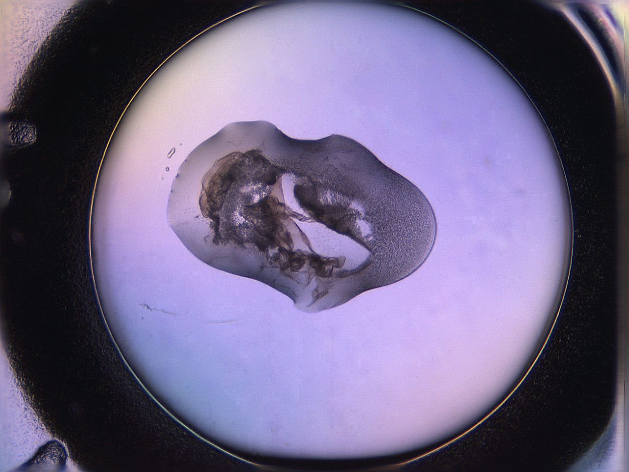 05oe_F11_ImagerDefaults_3.jpg