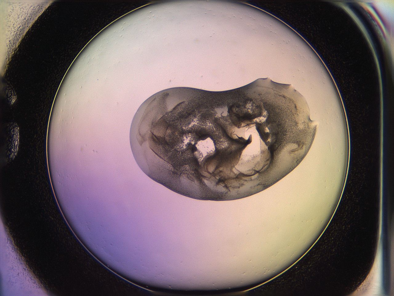 05oe_G1_ImagerDefaults_3.jpg