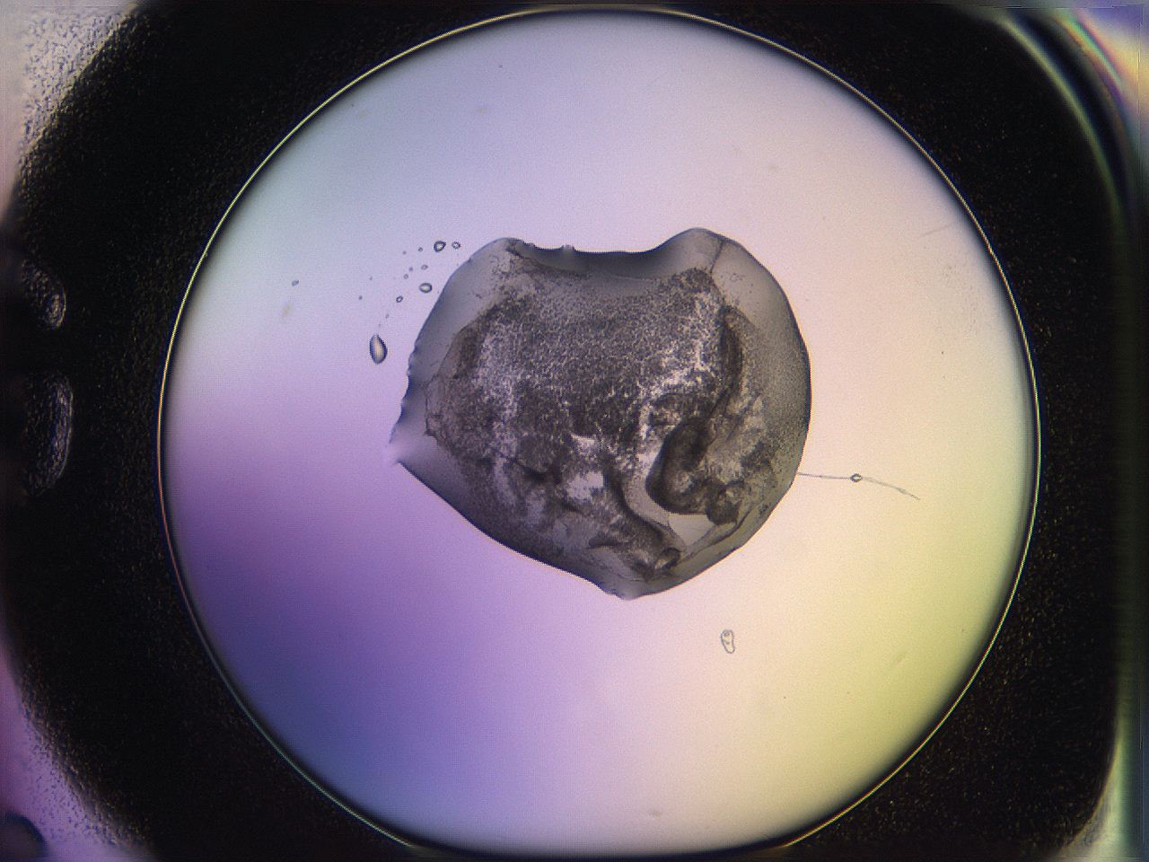 05oe_G6_ImagerDefaults_3.jpg