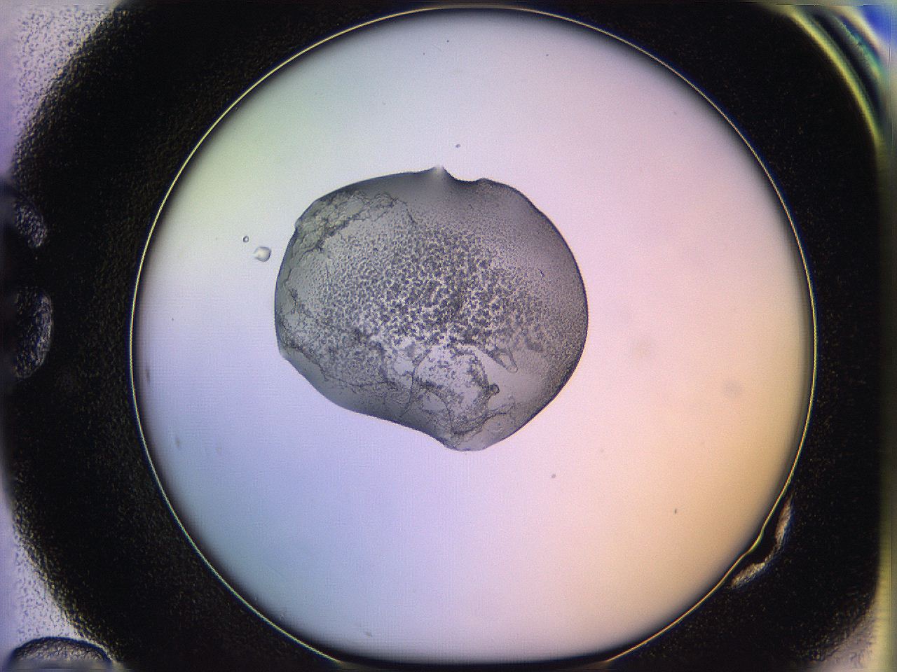 05oe_G10_ImagerDefaults_3.jpg
