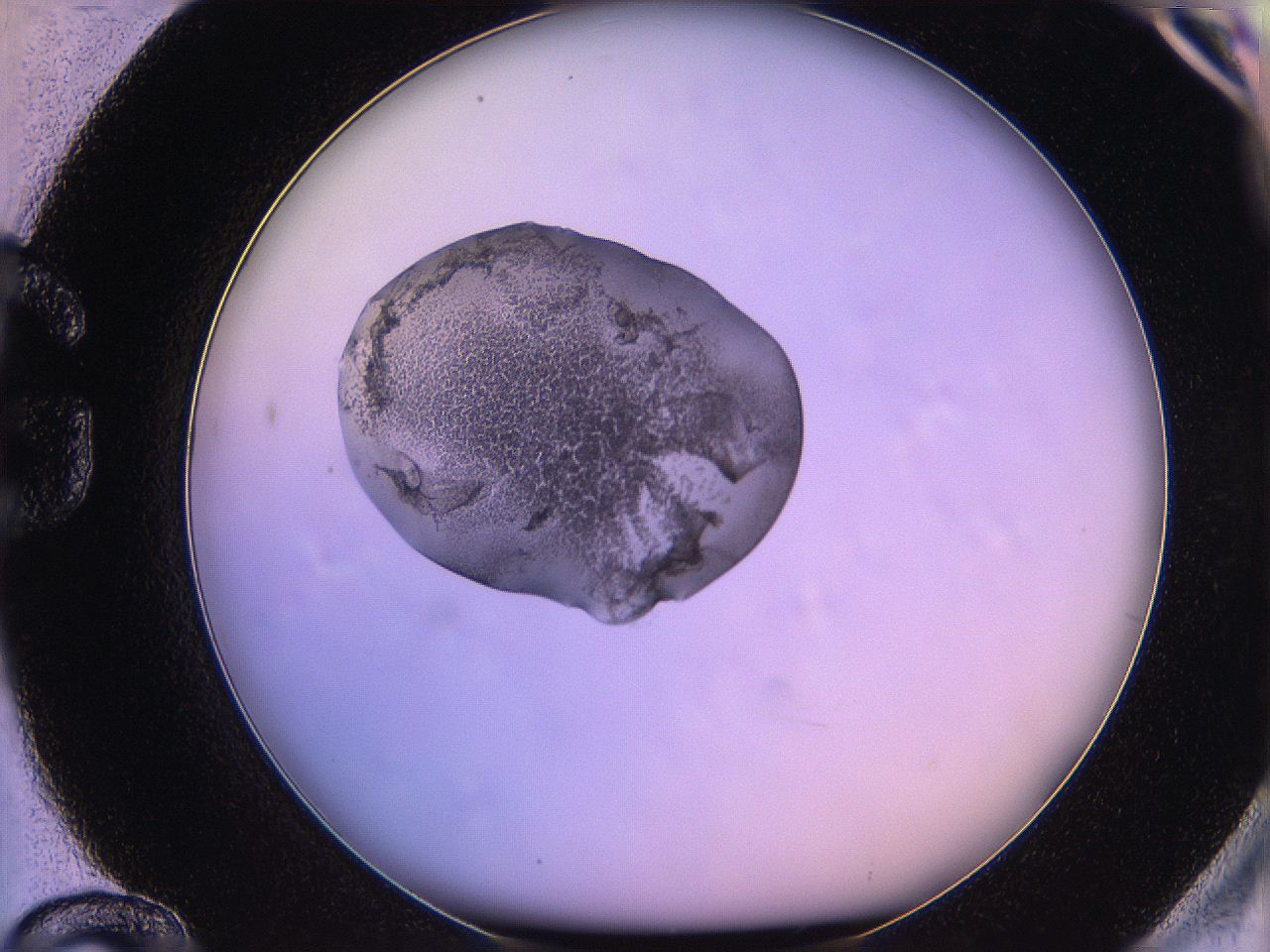 05oe_G12_ImagerDefaults_3.jpg