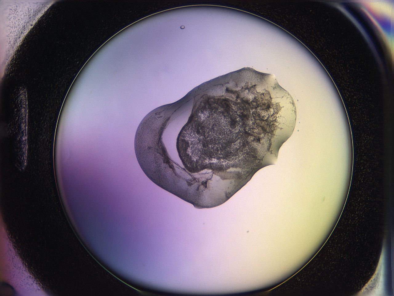05oe_H6_ImagerDefaults_3.jpg