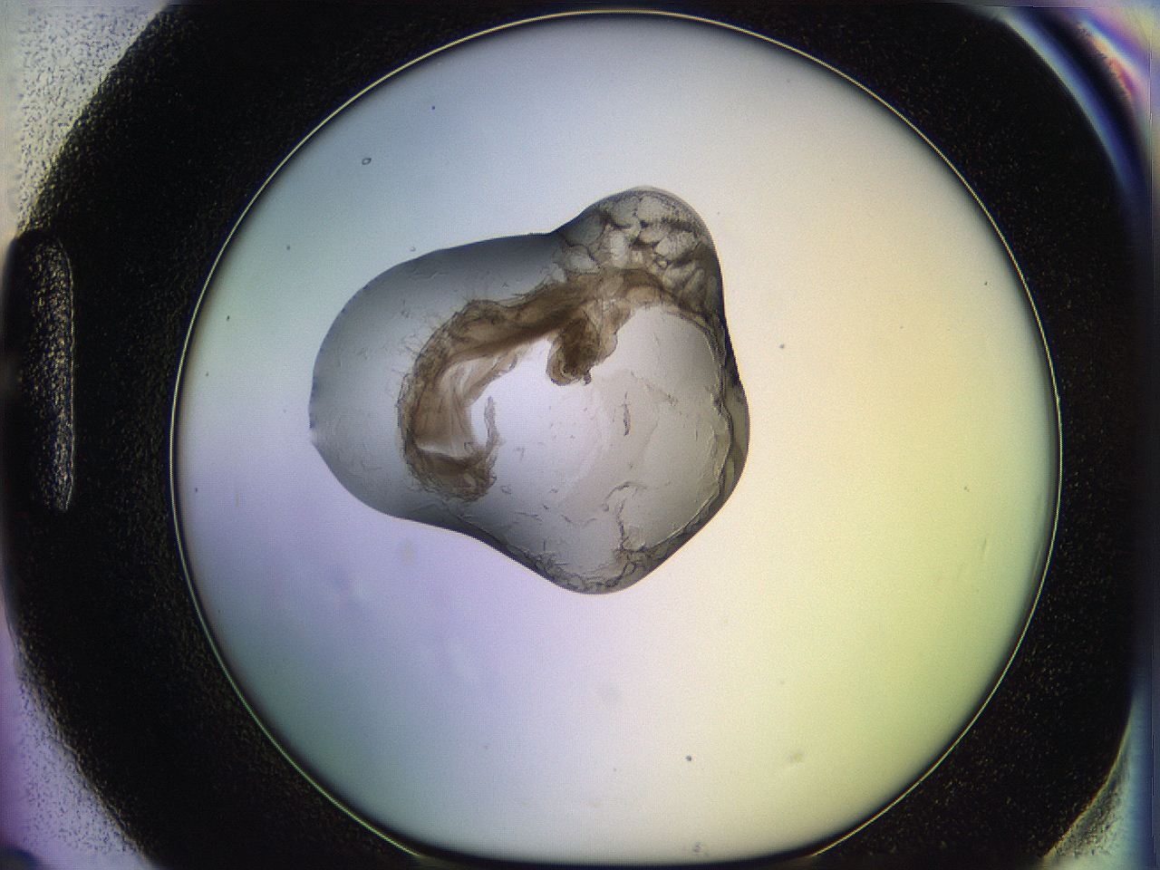 05oe_H9_ImagerDefaults_3.jpg