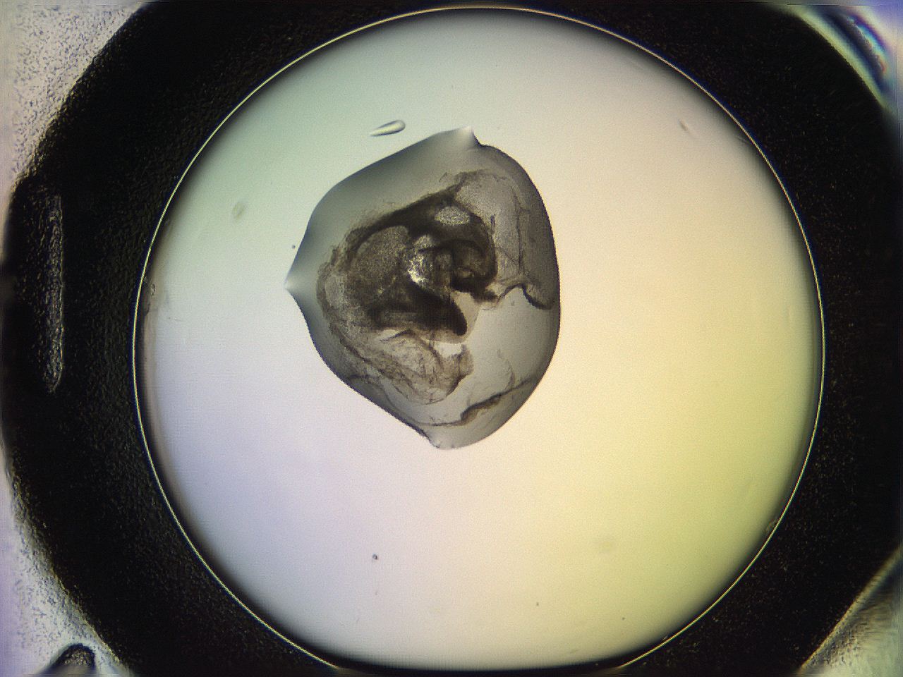 05oe_H11_ImagerDefaults_3.jpg