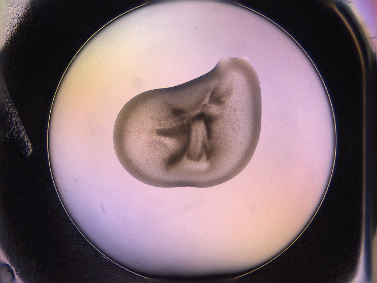 05of_A2_ImagerDefaults_3.jpg