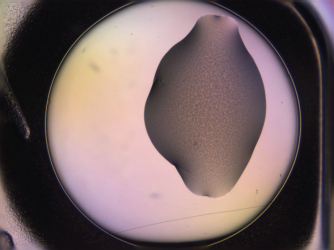 05of_A3_ImagerDefaults_3.jpg