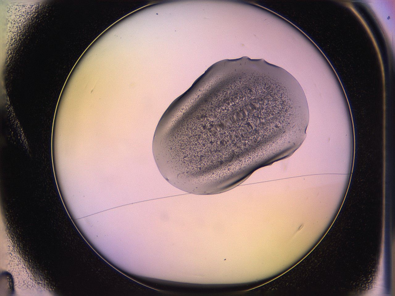 05of_A4_ImagerDefaults_3.jpg