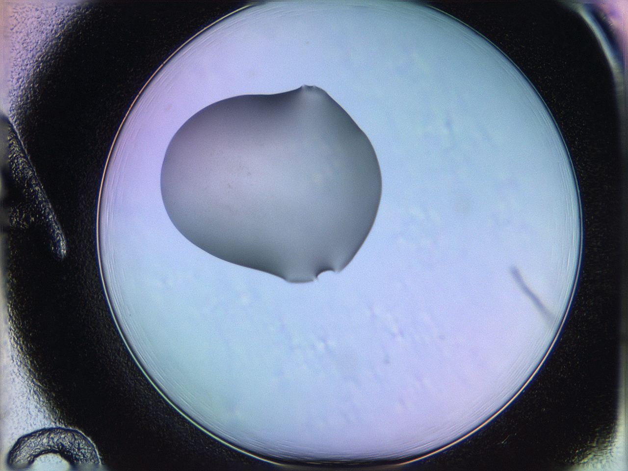 05of_A12_ImagerDefaults_1.jpg