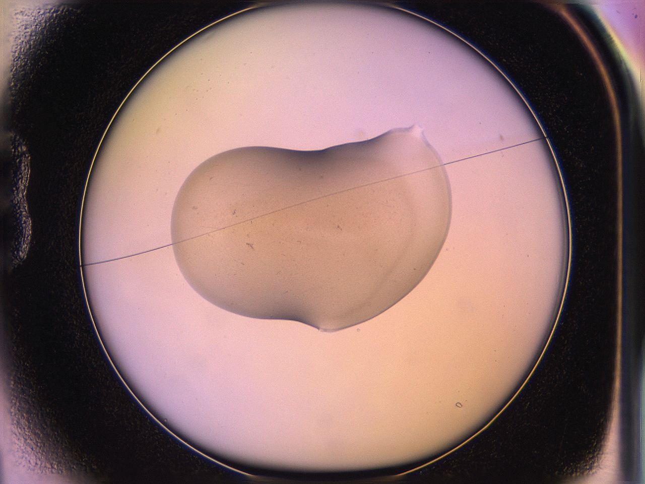 05of_B1_ImagerDefaults_3.jpg