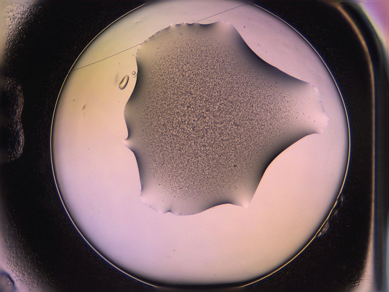 05of_B2_ImagerDefaults_3.jpg