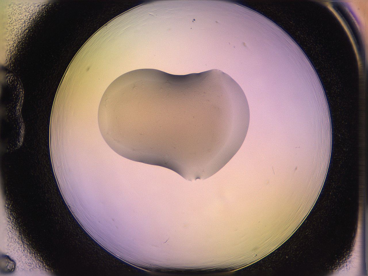 05of_B6_ImagerDefaults_3.jpg