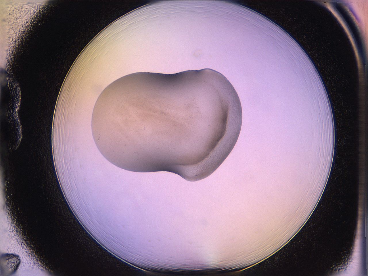 05of_B7_ImagerDefaults_3.jpg