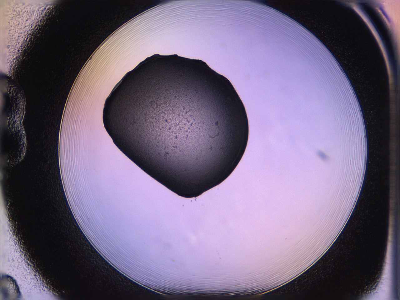 05of_B8_ImagerDefaults_3.jpg