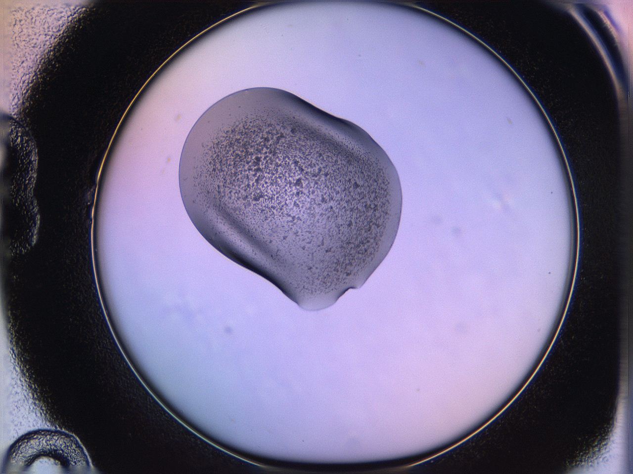 05of_B10_ImagerDefaults_3.jpg