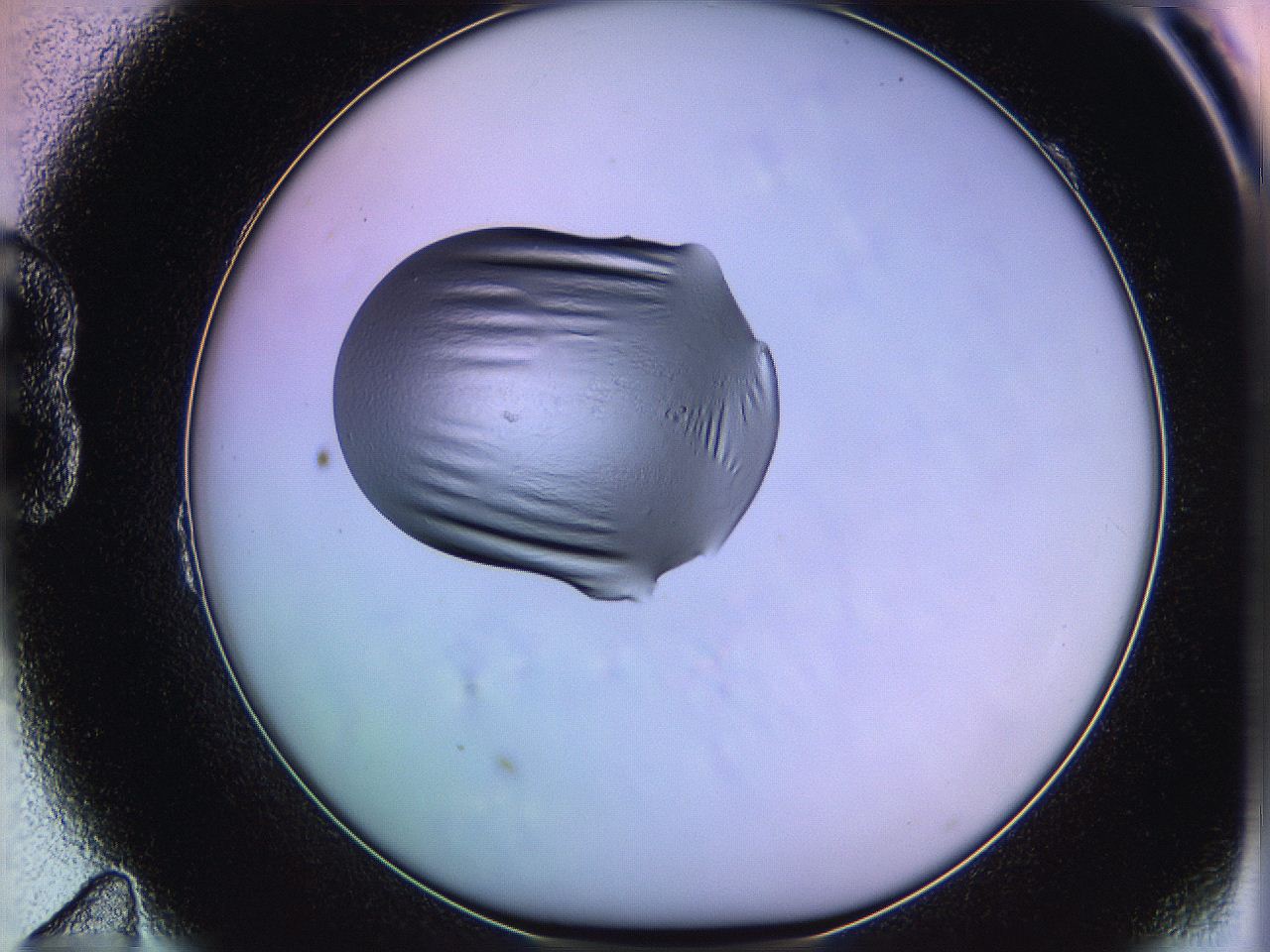 05of_B11_ImagerDefaults_1.jpg