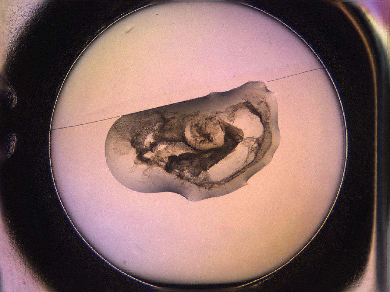 05of_C1_ImagerDefaults_3.jpg
