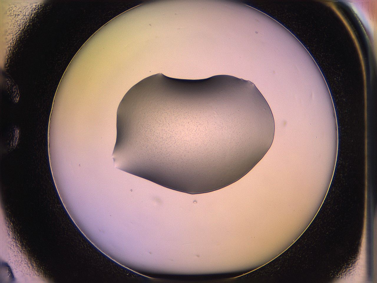 05of_C2_ImagerDefaults_3.jpg