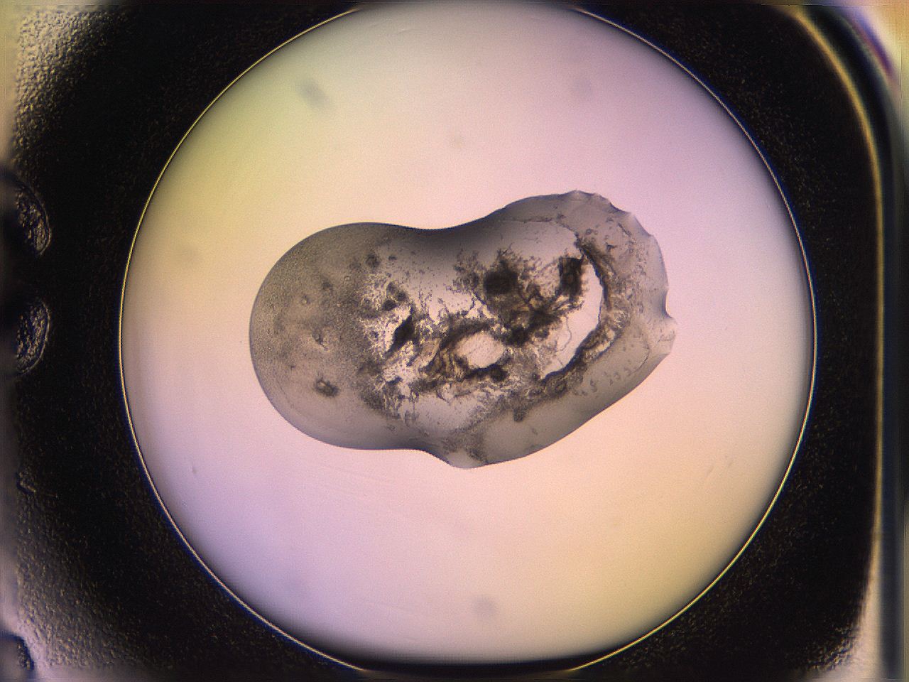05of_C3_ImagerDefaults_3.jpg
